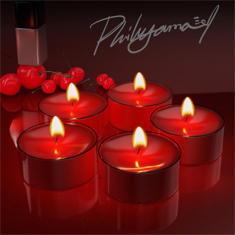 SM Candles Low Temperature Ant - Uv Inhibitor Candle のレビューと価格