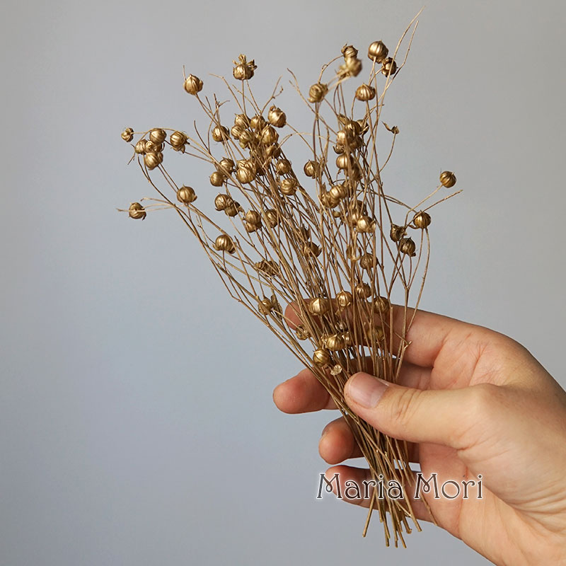 5g Preserved Flax Bean Natural - Candle Making Products のレビューと価格