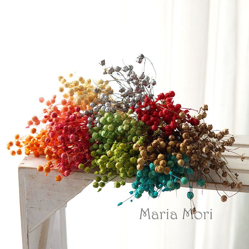 5g Preserved Flax Bean Natural - Candle Making Products のレビューと価格