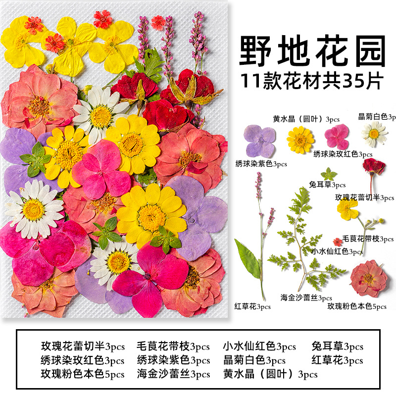 35Pcs10 Set of Dried Flowers a - Candle Making Set のレビューと価格