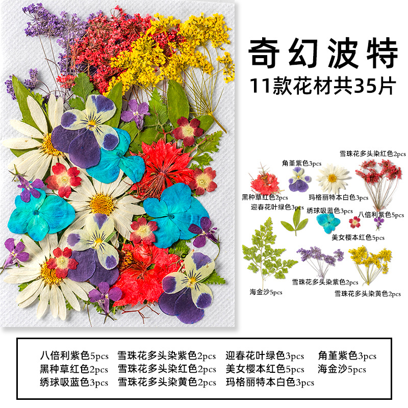 35Pcs10 Set of Dried Flowers a - Candle Making Set のレビューと価格